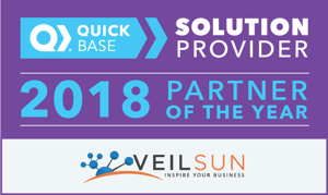 VeilSun partner of the year (updated)